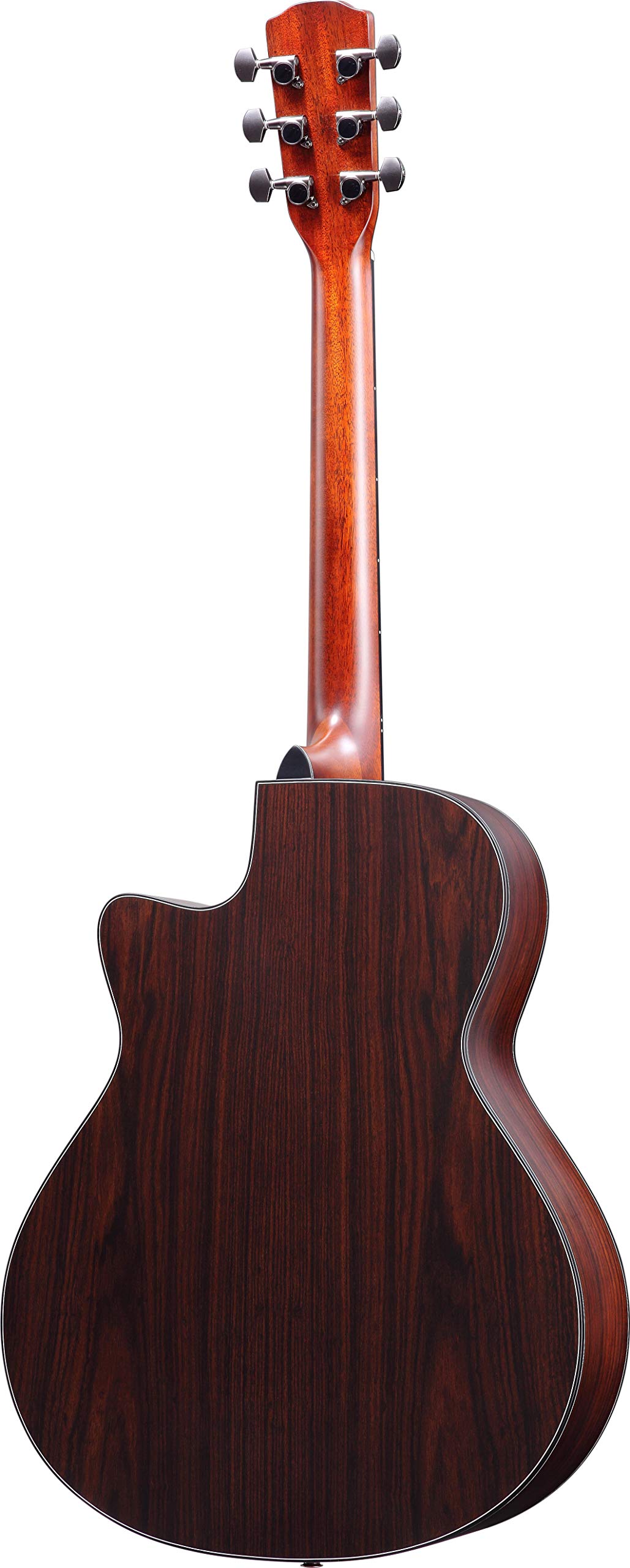 Amazon.co.jp: Morris (モーリス) エレクトリック アコースティック